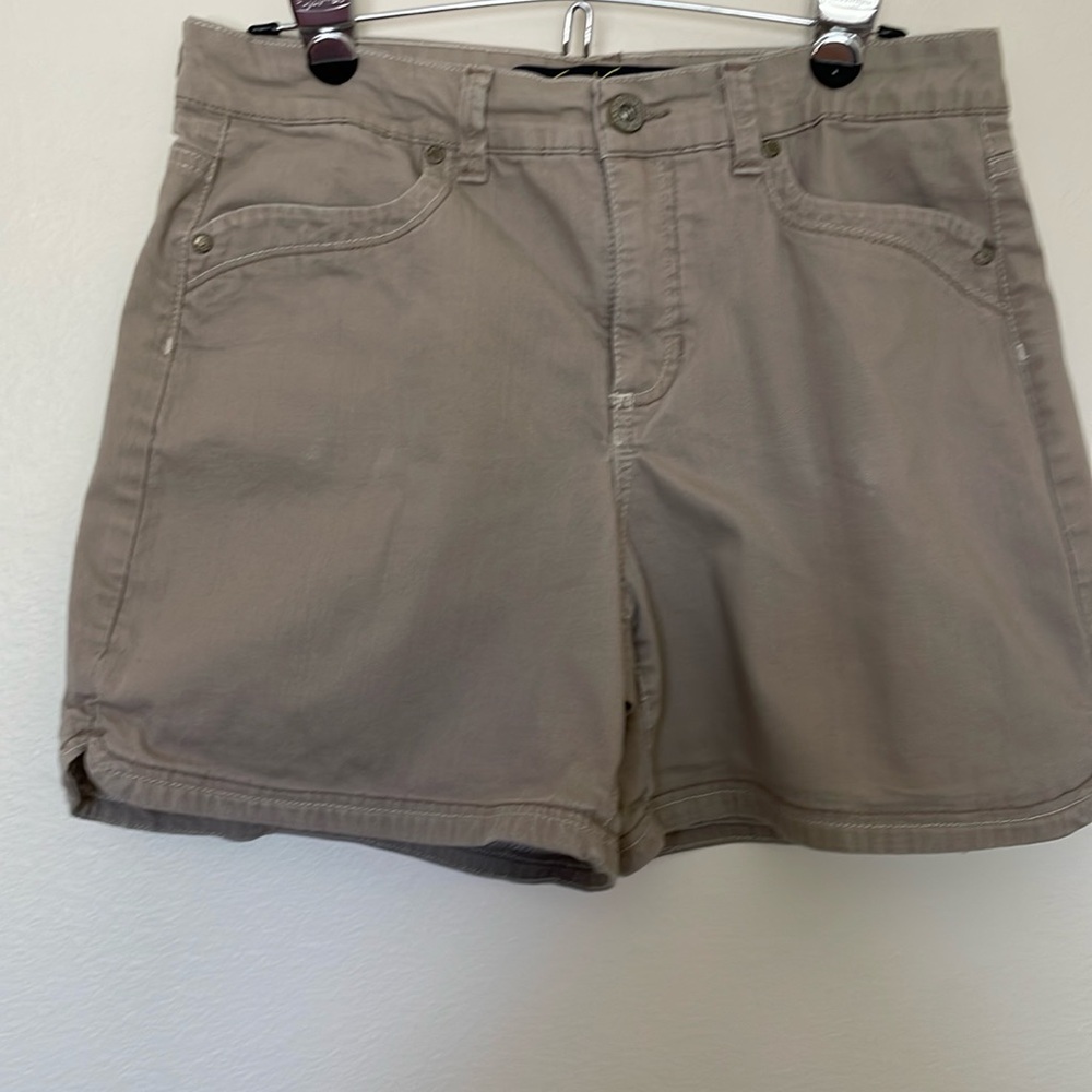 Gloria Vanderbilt Perfect Fit Shorts